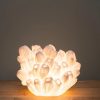 Lampe corail arbuscule-2 Lampe corail arbuscule 2