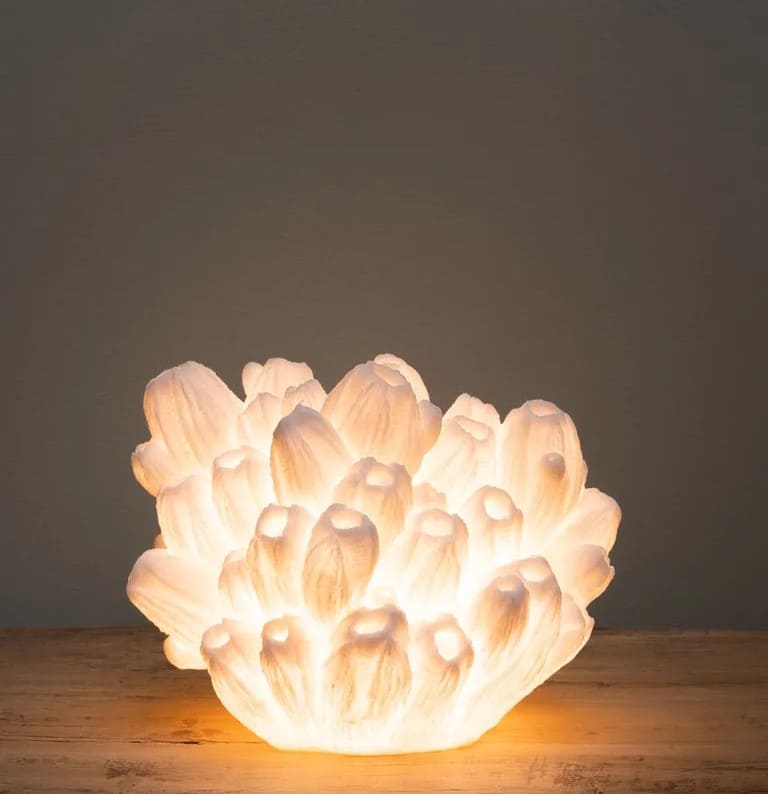 Lampe corail arbuscule-2 Lampe corail arbuscule 2