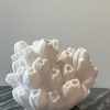 Lampe corail arbuscule-4 Lampe corail arbuscule 4