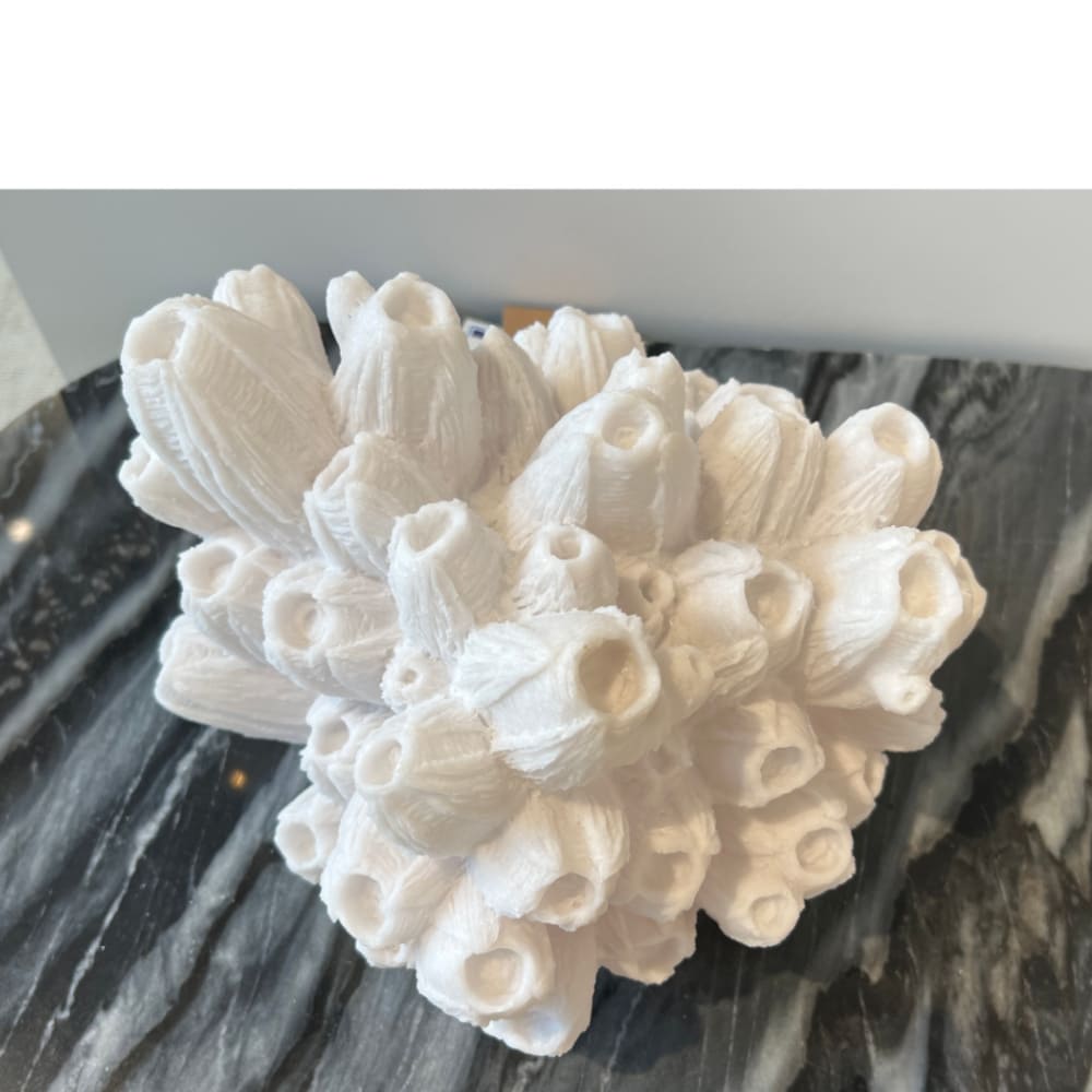 Lampe corail arbuscule-6 Lampe corail arbuscule 6