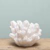 Lampe corail arbuscule2 Lampe corail arbuscule2