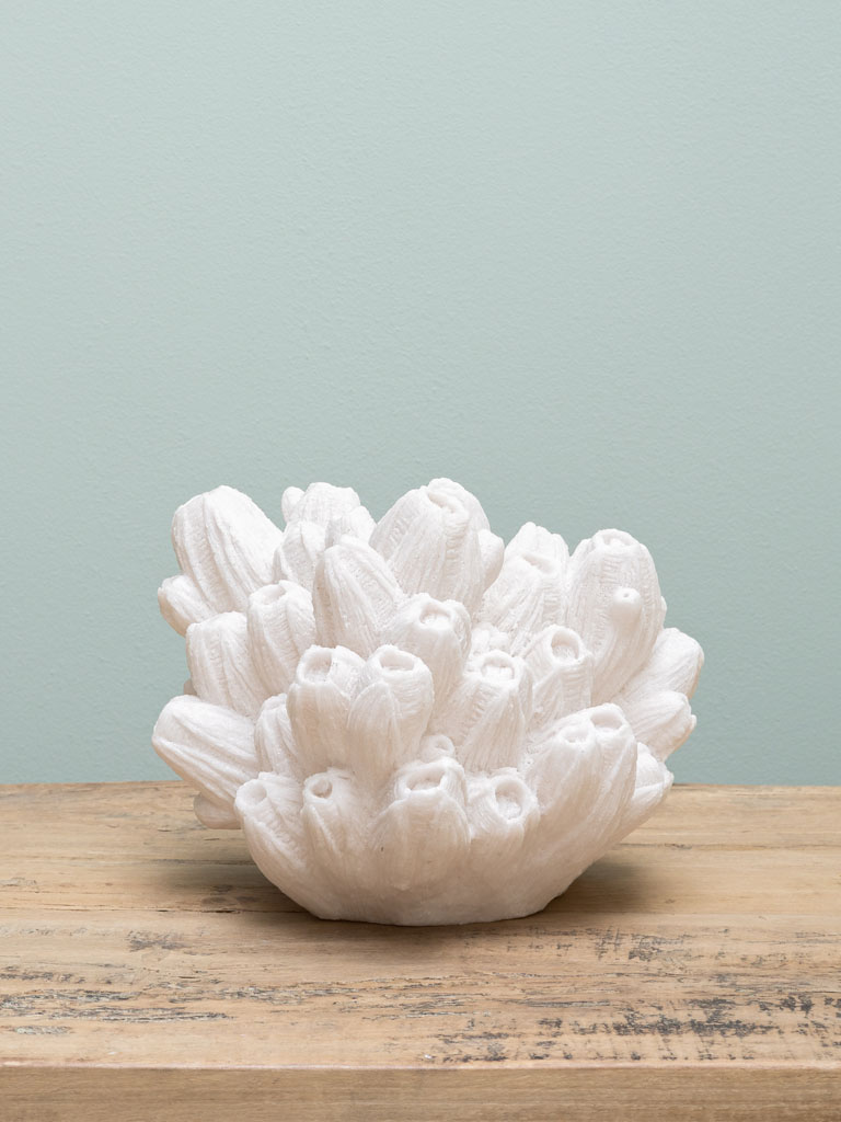 Lampe corail arbuscule2 Lampe corail arbuscule2