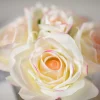 BLUSH_339b475a-b4c9-4538-b027-c1fe6161c46c_800x BLUSH 339b475a b4c9 4538 b027 c1fe6161c46c 800x