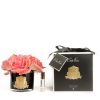 Côte Noire Bouquet De 5 Roses Pêches Blanches Parfumées Côte Noire Bouquet De 5 Roses Pêches Blanches