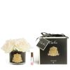 Côte Noire Bouquet De 5 Roses Pink Blush Parfumées Côte Noire Bouquet De 5 Roses Pink Blush