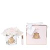 Côte Noire Bouquet De 5 Roses Pink Blush Parfumées transparent Cote Noire Bouquet De 5 Roses Pink Blush Parfumees transparent