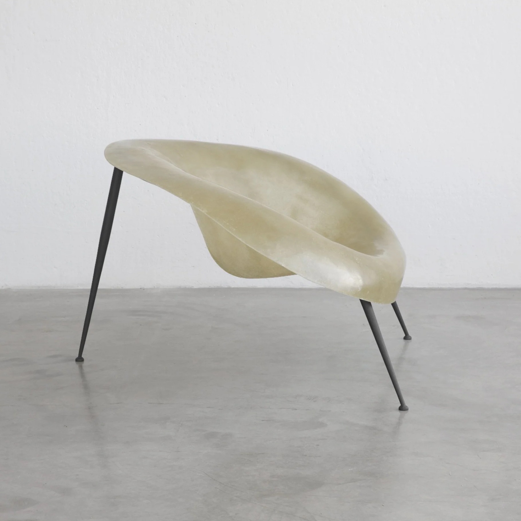 nido majdeltier naturel 4