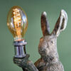 ampoule led filament spirale werns