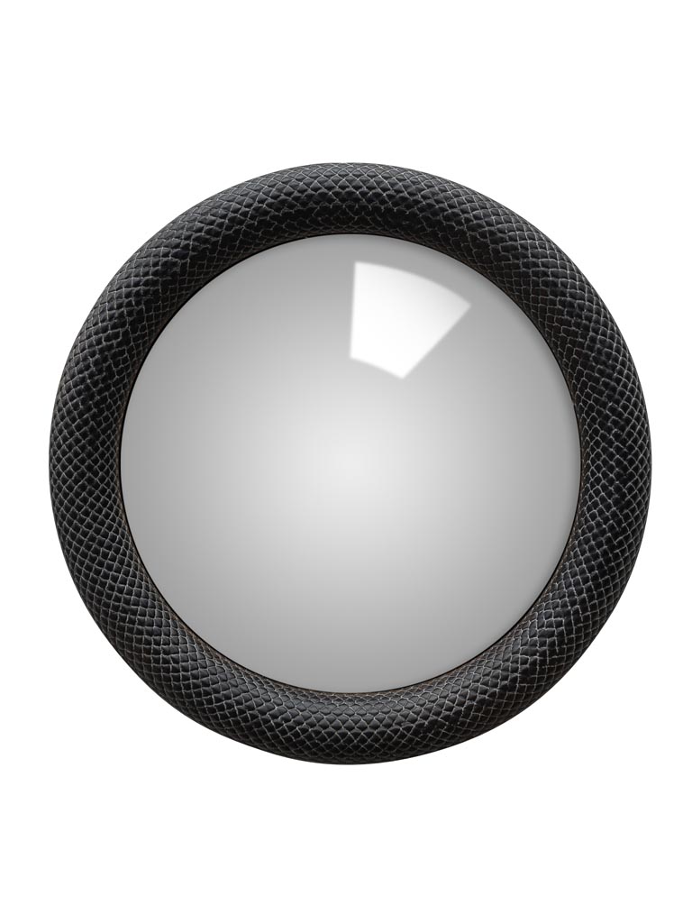 Miroir Serpent Noir