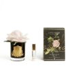Côte Noire Rose Clair Parfumée