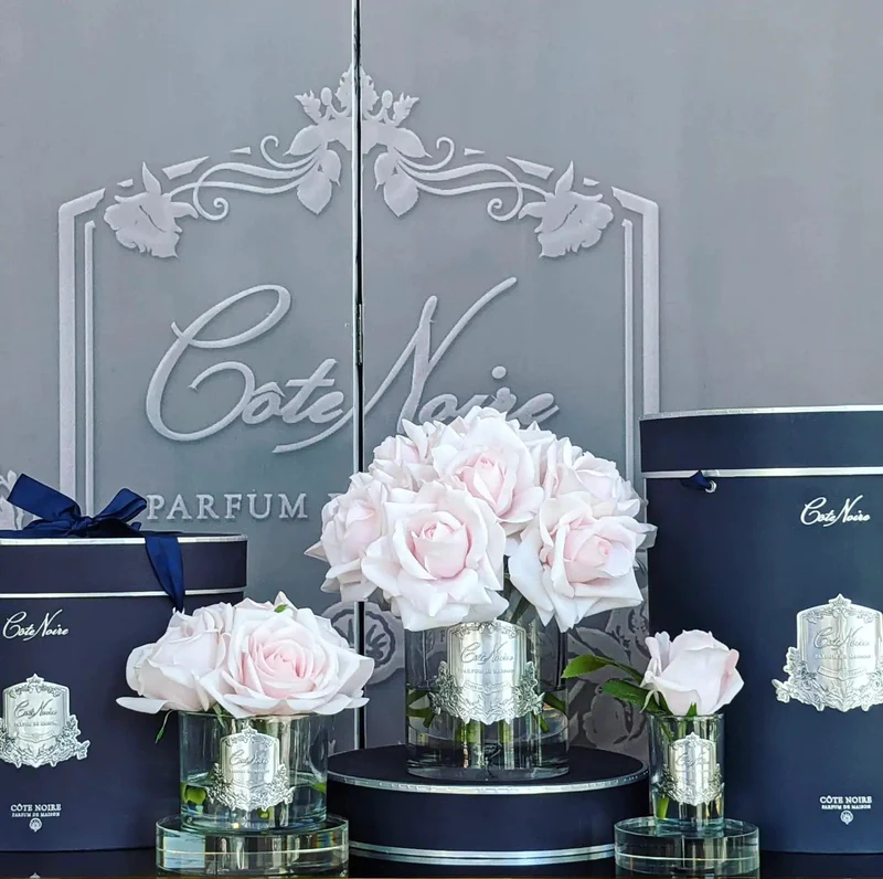 FrenchPink2_810f537b-a043-4566-9cf2-b78e8c8156d2_800x FrenchPink2 810f537b a043 4566 9cf2