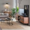 meuble tv aron 160 5 1