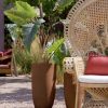 Fauteuil Peacock fauteuil emmanuelle naturel 8