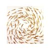 Peinture banc de poissons rouges (1) Peinture banc de poissons rouges 1