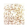 Peinture banc de poissons rouges Peinture banc de poissons rouges