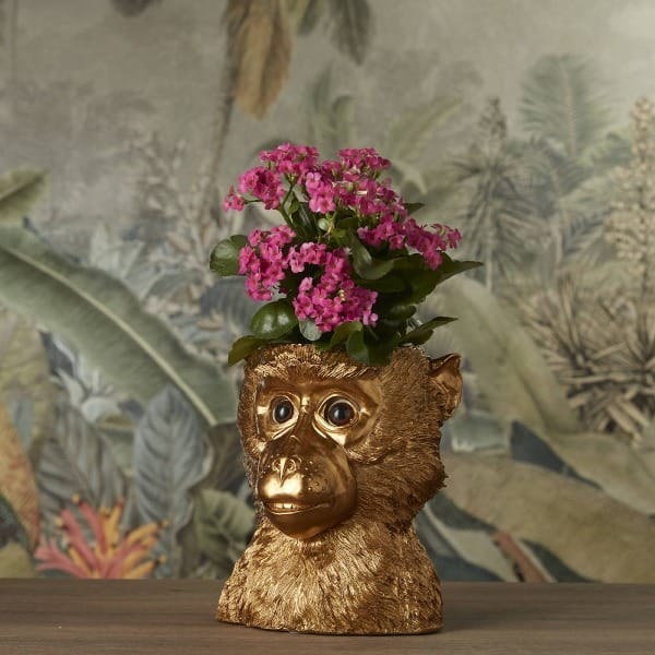 Pot De Fleurs Singe Bruce Or 3 Pot De Fleurs Singe Bruce Or 3