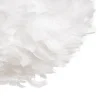 611605 01.webp