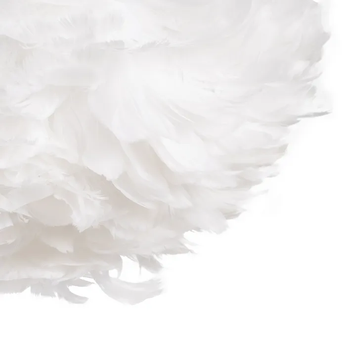 611605 01.webp