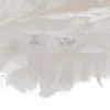 611605 02.webp