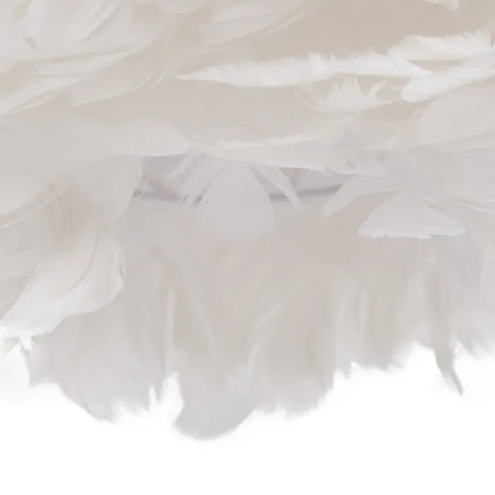 611605 02.webp