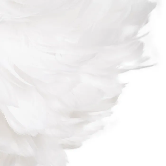 611605 04.webp