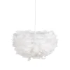 Suspension en Plumes blanches
