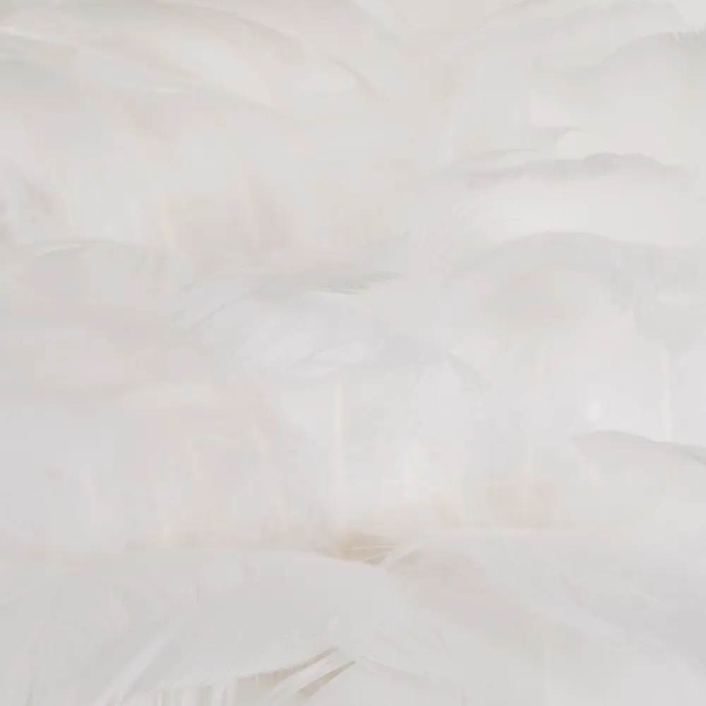 Lampe Plumes Blanches-4 Lampe Plumes Blanches 4