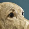 Applique Murale Labrador Lucky Werns majdeltier labrador 3
