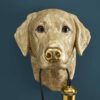 Applique Murale Labrador Lucky Werns majdeltier labrador 6
