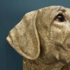 Applique Murale Labrador Lucky Werns majdeltier labrador 7