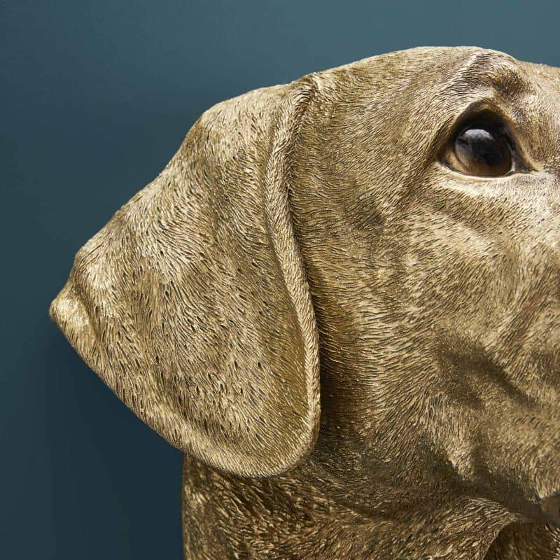 Applique Murale Labrador Lucky Werns majdeltier labrador 7