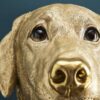 Applique Murale Labrador Lucky Werns majdeltier labrador 8