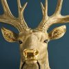 Applique Murale Cerf Harry Or cerf werns wernervoss majdeltier 1