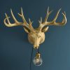 Applique Murale Cerf Harry Or cerf werns wernervoss majdeltier 10