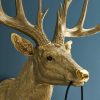 Applique Murale Cerf Harry Or cerf werns wernervoss majdeltier 11