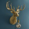 Applique Murale Cerf Harry Or cerf werns wernervoss majdeltier 3