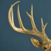 Applique Murale Cerf Harry Or cerf werns wernervoss majdeltier 5