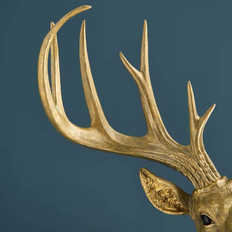 Applique Murale Cerf Harry Or cerf werns wernervoss majdeltier 5