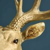 Applique Murale Cerf Harry Or cerf werns wernervoss majdeltier 6