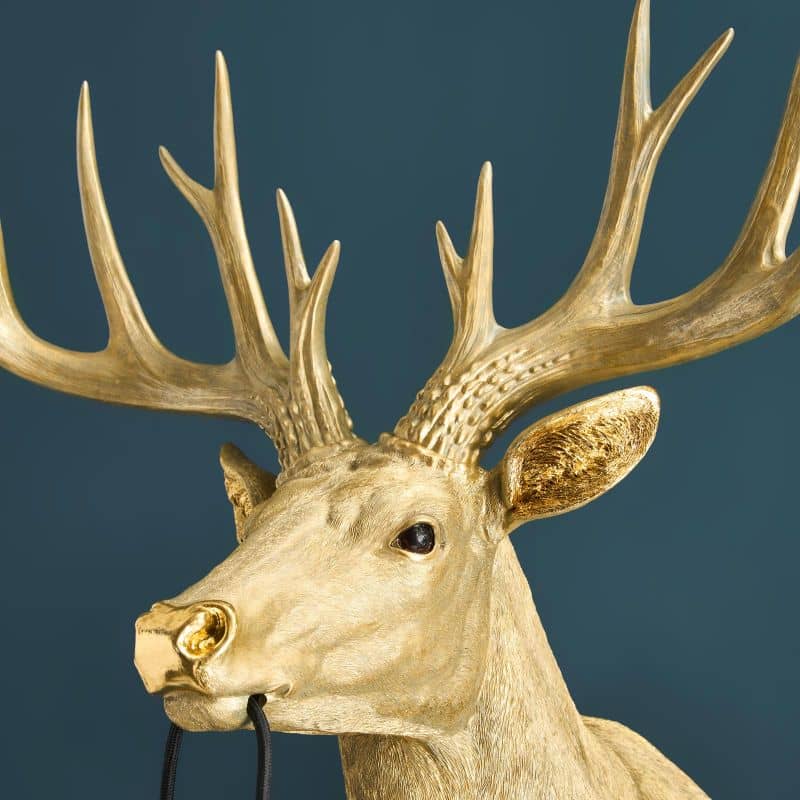 Applique Murale Cerf Harry Or cerf werns wernervoss majdeltier 8