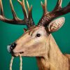 Applique Murale Cerf Harry-cerf-werns-wernervoss-majdeltier-1 Applique Murale Cerf Harry cerf werns wernervoss majdeltier 1
