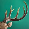 Applique Murale Cerf Harry-cerf-werns-wernervoss-majdeltier-3 Applique Murale Cerf Harry cerf werns wernervoss majdeltier 3