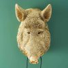 Applique Murale Sanglier Willy Doré-sanglier-or-cochon-werns-wernervoss-majdeltier-2 Applique Murale Sanglier Willy Dore sanglier or cochon werns wernervoss majdeltier 2