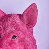 Applique Murale Sanglier Willy- Magenta-rose-sanglier-cochon-werns-wernervoss-majdeltier-6 Applique Murale Sanglier Willy Magenta rose sanglier cochon werns wernervoss majdeltier 6