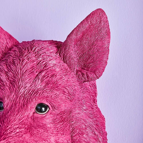 Applique Murale Sanglier Willy- Magenta-rose-sanglier-cochon-werns-wernervoss-majdeltier-6 Applique Murale Sanglier Willy Magenta rose sanglier cochon werns wernervoss majdeltier 6