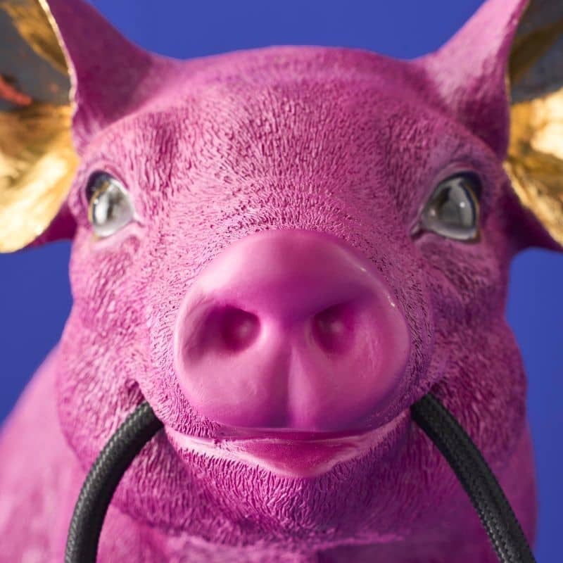 Lampe de table Piggy Rose - WERNS®-majdeltier-1 Lampe de table Piggy Rose - WERNS®-majdeltier