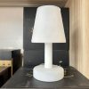 IMG_5576 Lampe a Huile De Salon verre givré