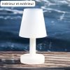 Lampe à Huile de Salon en Verre Givré - Peri Living Intérieur et Extérieur Lampe à Huile de Salon en Verre Givré - Peri Living