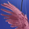 Plafonnier Perroquet Percy, rose-werns-majdeltier-4 Plafonnier Perroquet Percy, rose-werns