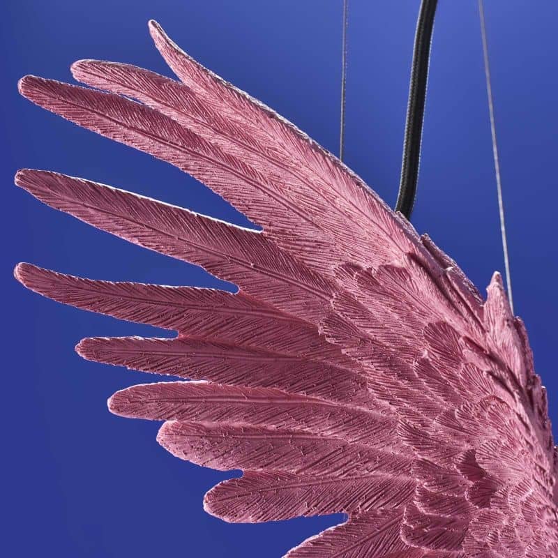 Plafonnier Perroquet Percy, rose-werns-majdeltier-4 Plafonnier Perroquet Percy, rose-werns